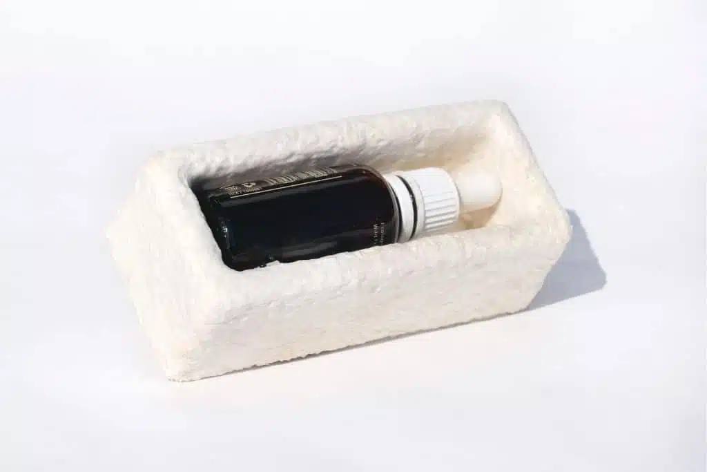 Team meeting discussing sustainability